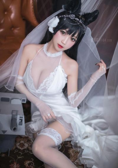 成人动漫在线观看免费
