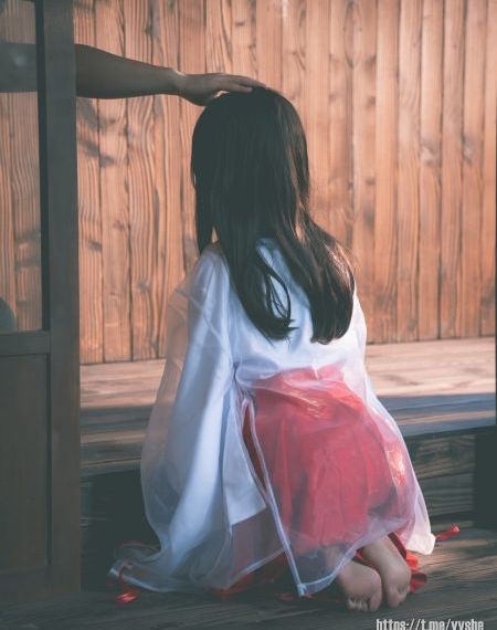 中餐厅第八季免费观看