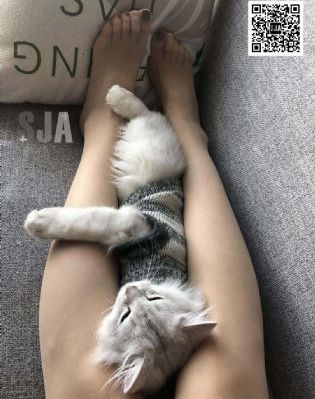 做你的爱人3电视剧
