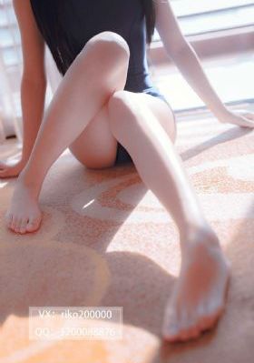 珠帘玉幕电视剧免费观看完整版