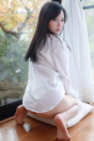 一路向北在线免费观看完整版
