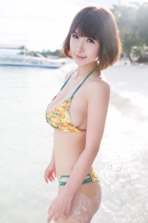海贼王全集免费观看完整版高清