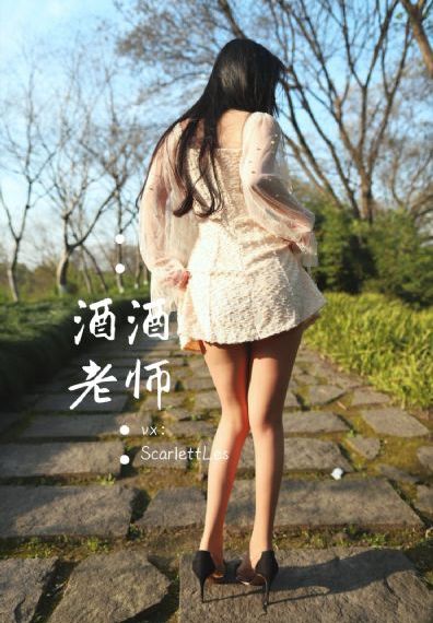 电视剧《西安大追捕》
