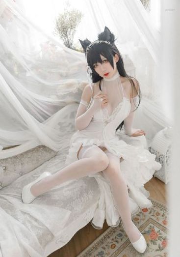 摄影部动漫第一季樱花动漫