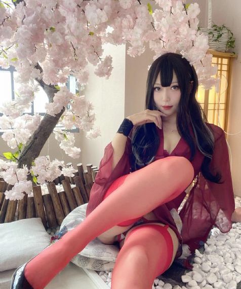 电视免费看