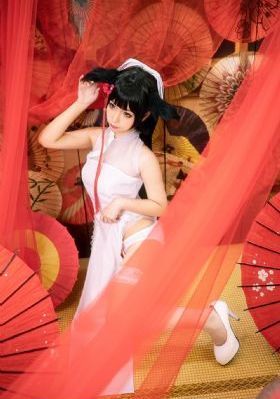 一仆二主电视剧