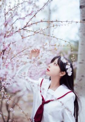爸爸当家第三季免费观看